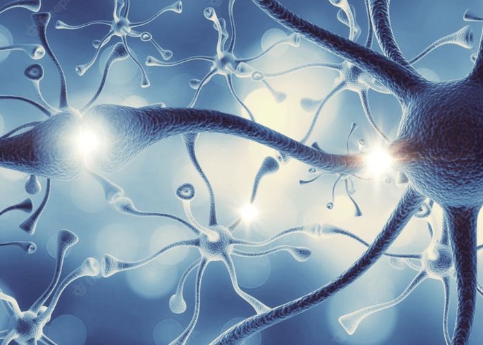 POTS research and vitamin D supplementation